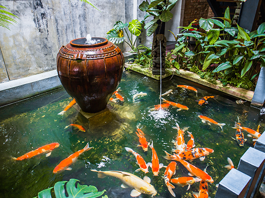 Pond Installation Services from Pro Aquatic Services Ltd. London, Essex & Hertfordshire