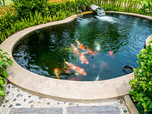 Pond Maintenance Services from Pro Aquatic Services Ltd. London, Essex & Hertfordshire